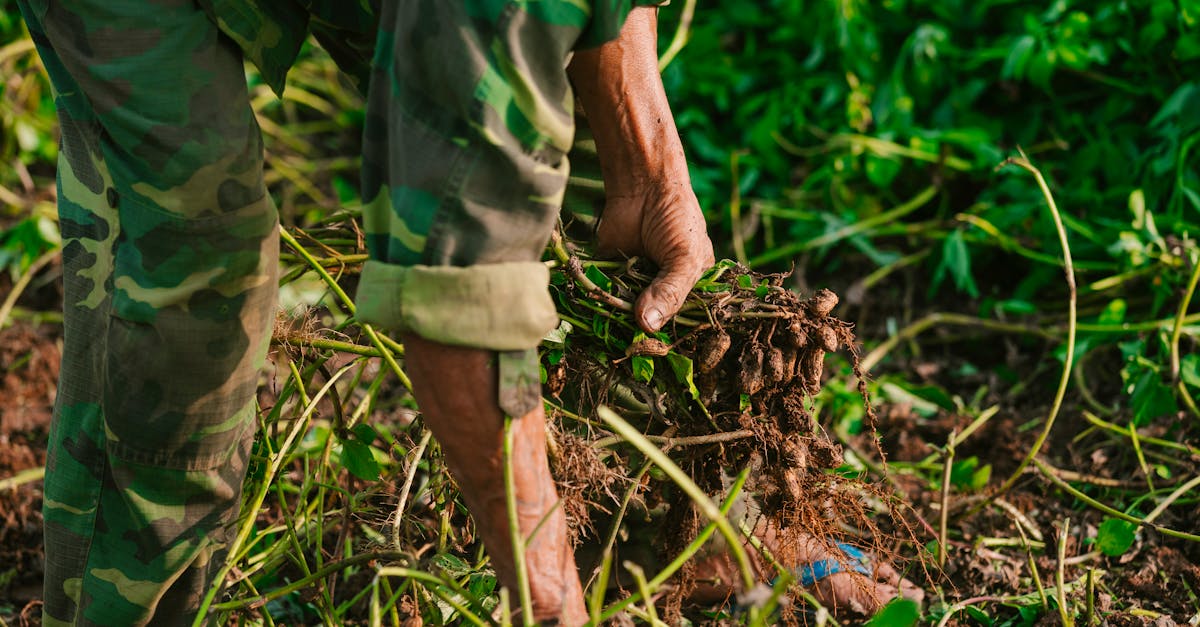 découvrez des stratégies durables innovantes qui favorisent une croissance responsable et respectueuse de l'environnement. apprenez à intégrer des pratiques durables dans votre entreprise pour un avenir meilleur.