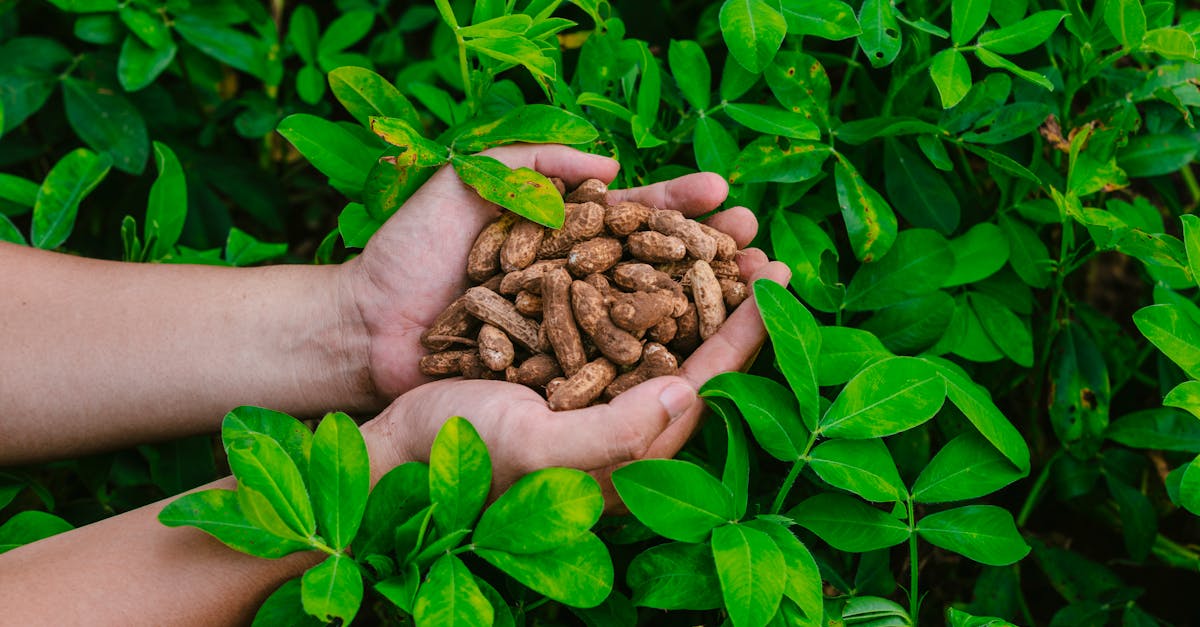 découvrez des stratégies durables pour un avenir responsable et respectueux de l'environnement. apprenez comment intégrer des pratiques écologiques dans votre entreprise pour assurer croissance et durabilité.