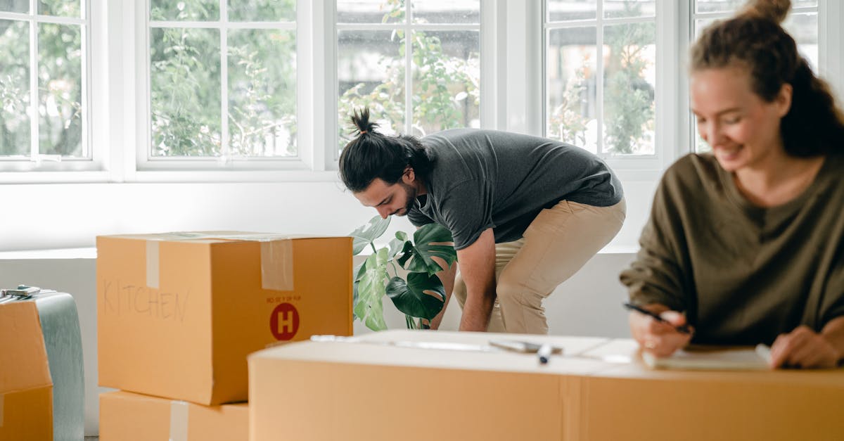 découvrez comment la cohabitation urbaine transforme les villes en espaces de vie partagés où diversité, développement durable et innovation sociale façonnent de nouveaux modes de vivre ensemble.