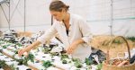 Retour sur les initiatives de développement durable mises en œuvre en 2024
