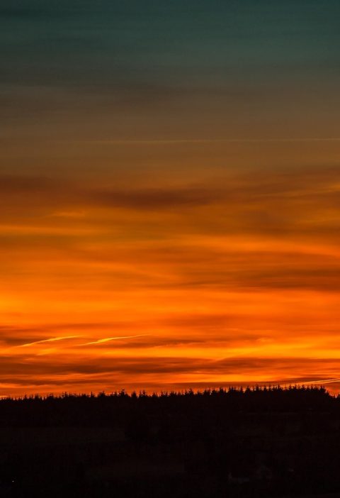 découvrez les dernières actualités, tendances et innovations dans le domaine des énergies renouvelables. apprenez comment l'énergie solaire, éolienne et d'autres solutions durables transforment notre avenir énergétique.