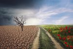 Le CNRS : Un Pilier de la Transition Écologique et de l’Engagement Sociétal