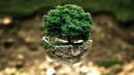 Agriculture régénérative : la clé pour une production durable et respectueuse de l’environnement
