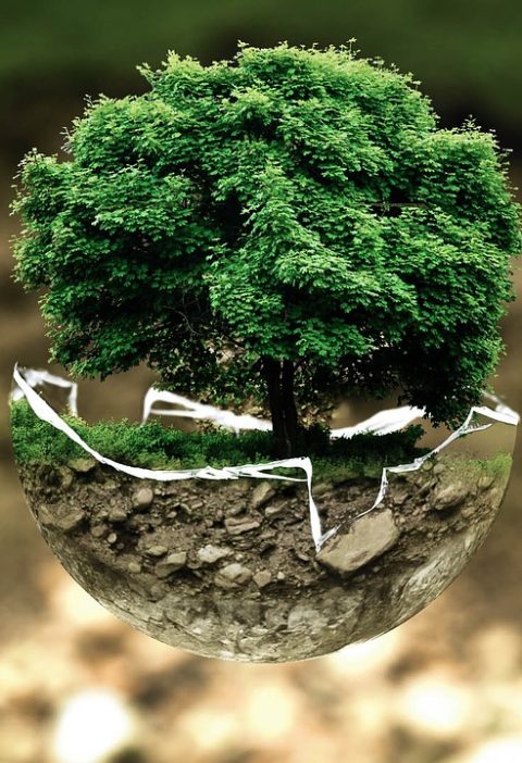 découvrez l'impact environnemental des activités humaines et les enjeux majeurs pour préserver notre planète. informez-vous sur les effets de la pollution, du changement climatique et des solutions pour un avenir durable.