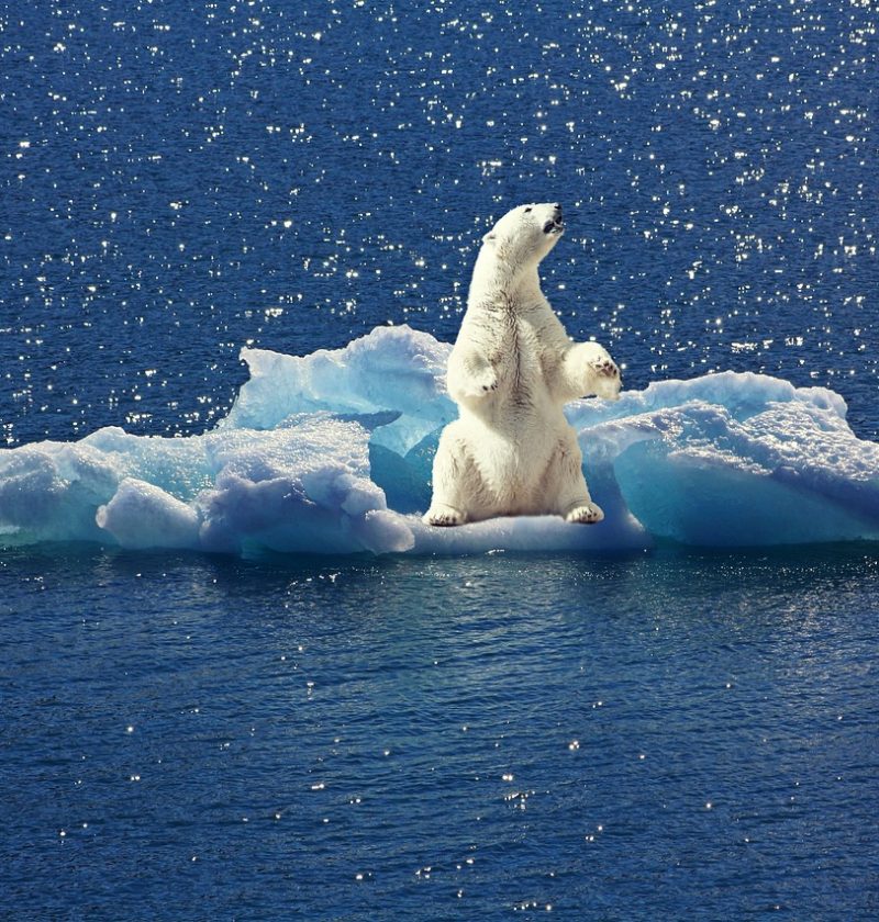 découvrez les principaux risques climatiques, leurs impacts sur l'environnement, l'économie et la société, ainsi que les solutions pour mieux s'y adapter et les atténuer.