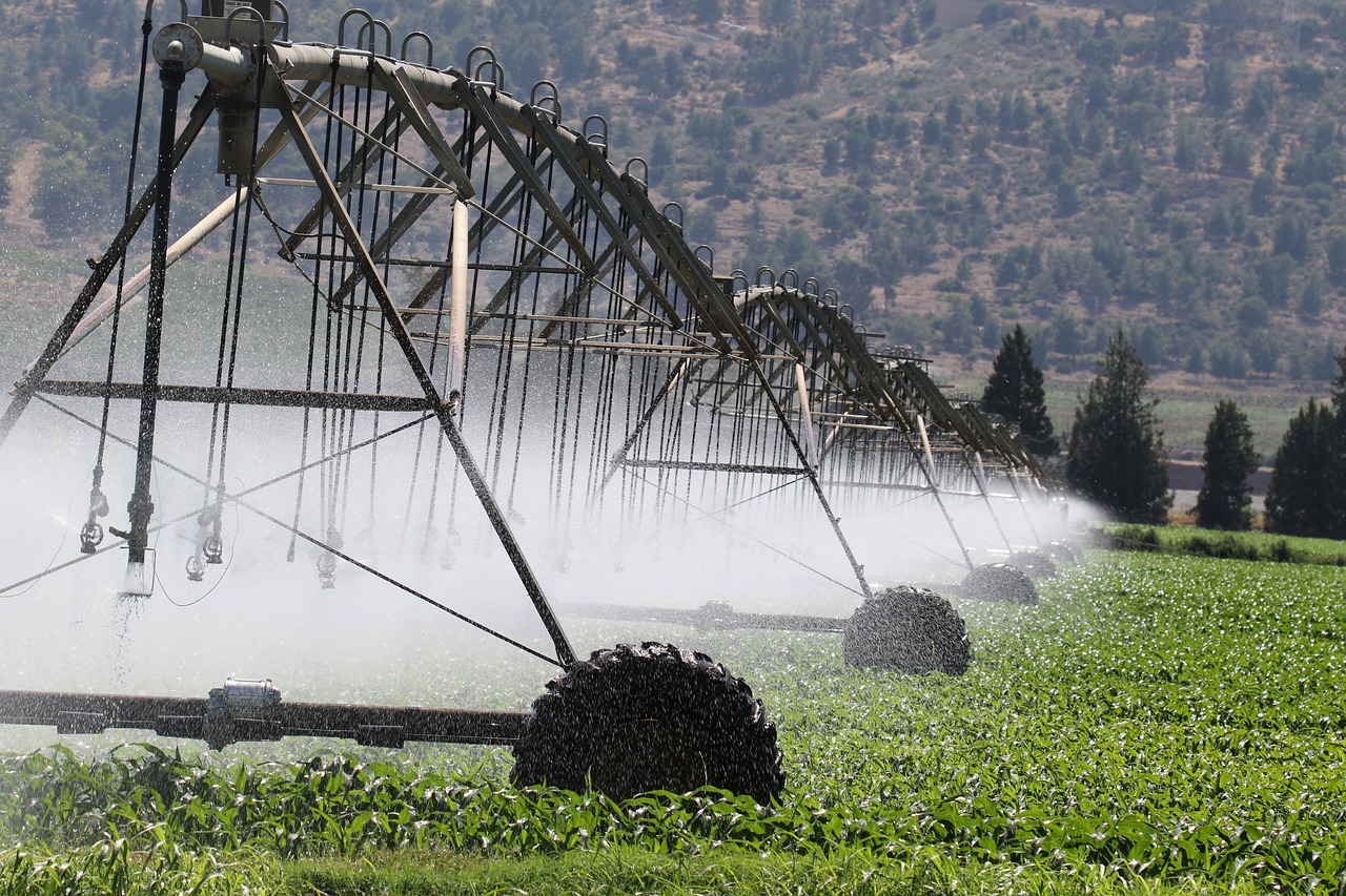 découvrez les causes, conséquences et solutions face au changement climatique. informez-vous sur les enjeux du réchauffement global et l'importance d'agir pour protéger notre planète.