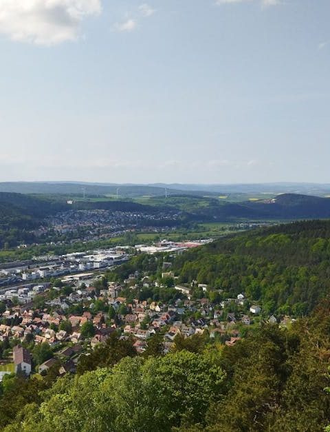 découvrez l'importance des forêts urbaines pour améliorer la qualité de vie en ville, purifier l'air et favoriser la biodiversité. informations sur les bénéfices écologiques et sociaux de la végétalisation urbaine.