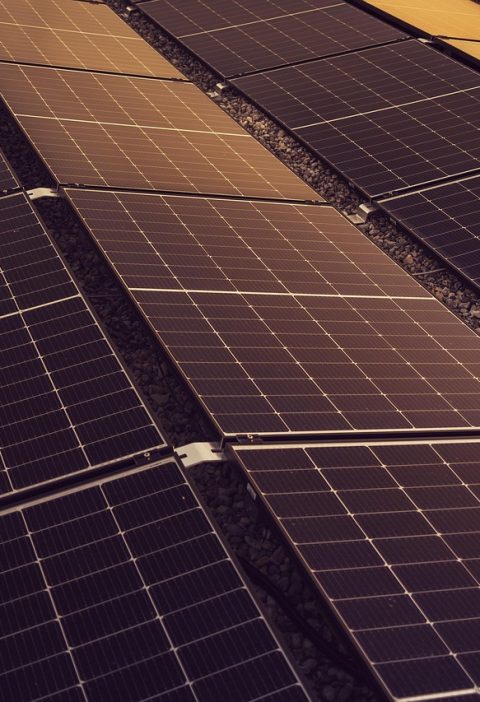 découvrez des solutions et conseils pratiques pour adopter un mode de vie plus durable, réduire votre impact environnemental et contribuer à un avenir plus écologique grâce à la durabilité.