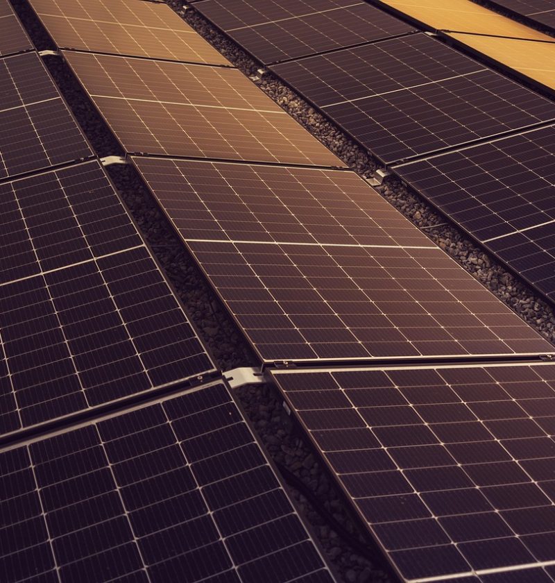 découvrez des solutions et conseils pratiques pour adopter un mode de vie plus durable, réduire votre impact environnemental et contribuer à un avenir plus écologique grâce à la durabilité.