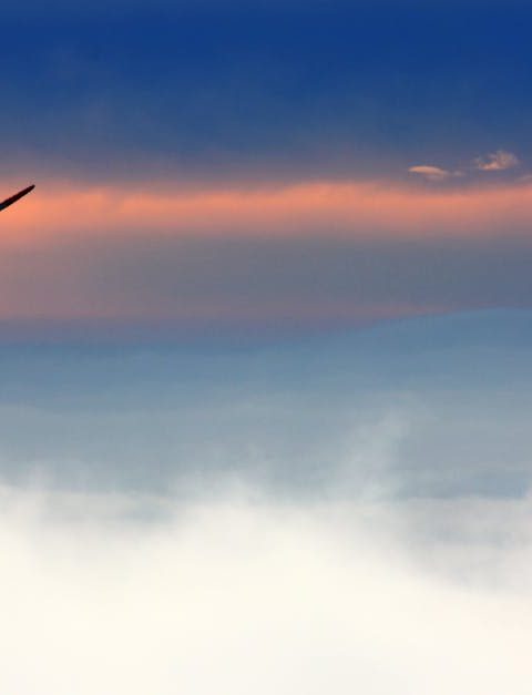 découvrez les technologies durables qui transforment notre quotidien et contribuent à préserver l'environnement. explorez innovations, solutions écologiques et avancées responsables pour un avenir plus vert.