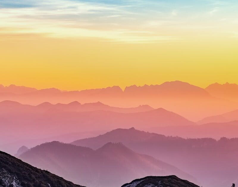 découvrez la beauté et la diversité de la nature : informations, conseils et idées pour apprécier et protéger les milieux naturels, la faune et la flore, et profiter d’activités en plein air.
