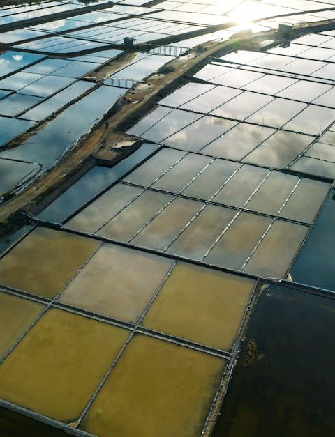 découvrez les meilleures pratiques de gestion durable du littoral pour protéger l'environnement, soutenir les communautés locales et préserver les ressources naturelles des zones côtières.