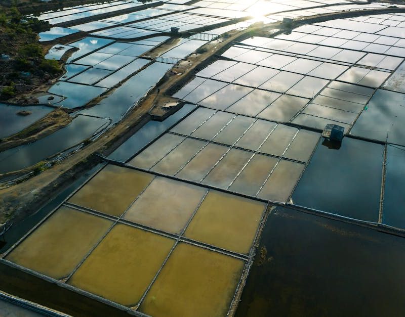 découvrez les meilleures pratiques de gestion durable du littoral pour protéger l'environnement, soutenir les communautés locales et préserver les ressources naturelles des zones côtières.