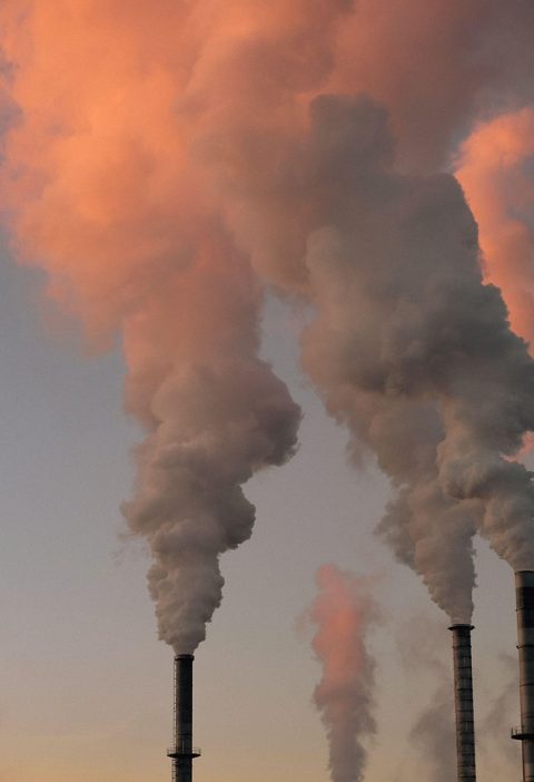 découvrez tout ce qu'il faut savoir sur la pollution : ses causes, ses conséquences sur l'environnement et la santé, ainsi que les solutions pour la réduire au quotidien.