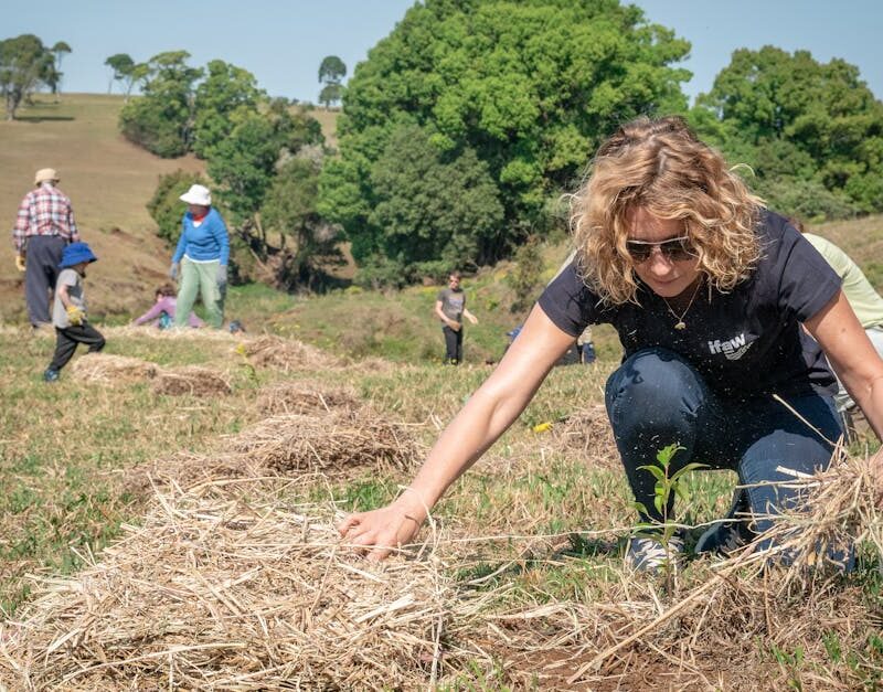 découvrez les enjeux et les bénéfices de la reforestation : comment restaurer les forêts, lutter contre le changement climatique et préserver la biodiversité grâce à des actions concrètes et durables.