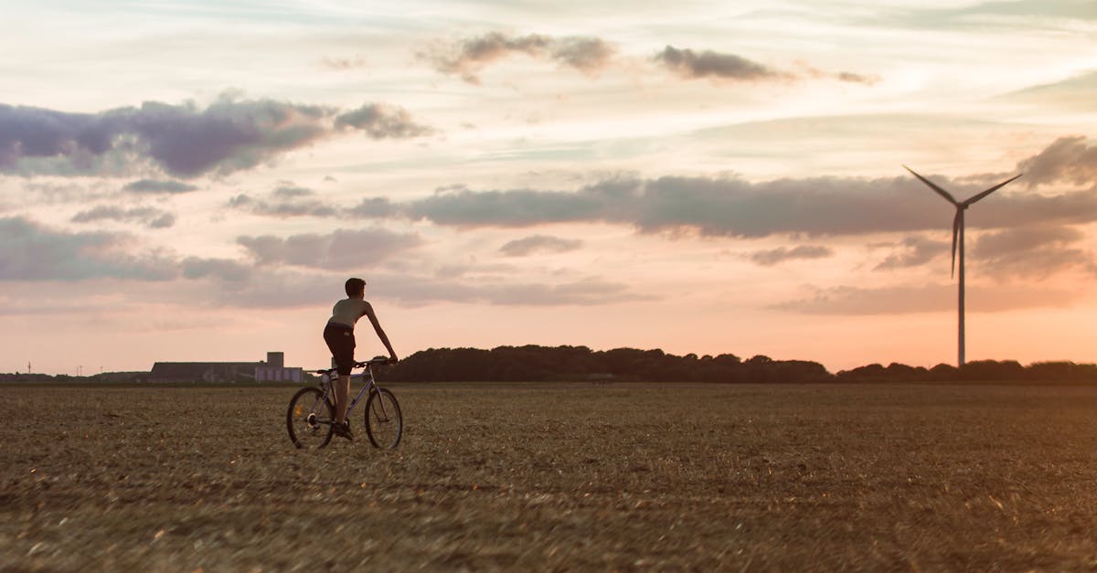 découvrez les principes clés de la durabilité et les meilleures pratiques pour adopter un mode de vie écoresponsable. conseils, actualités et ressources pour contribuer à préserver l'environnement durablement.