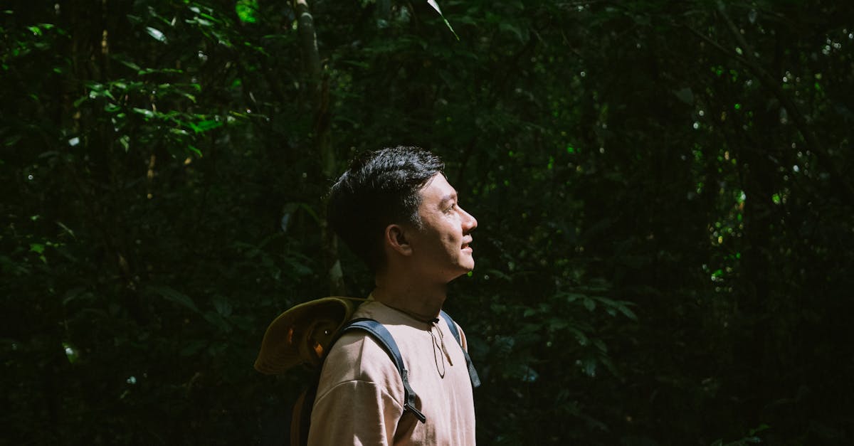 découvrez l'importance de la biodiversité, ses rôles essentiels dans les écosystèmes et les actions à entreprendre pour la préserver. informez-vous sur les enjeux actuels et comment chacun peut contribuer à la protection de la nature.