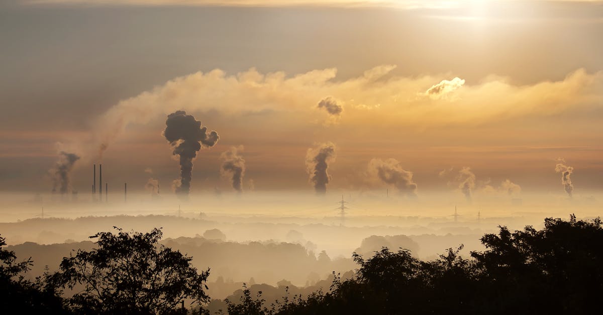découvrez ce qu'est l'empreinte carbone, son impact sur l'environnement et des conseils pratiques pour réduire votre contribution au changement climatique au quotidien.