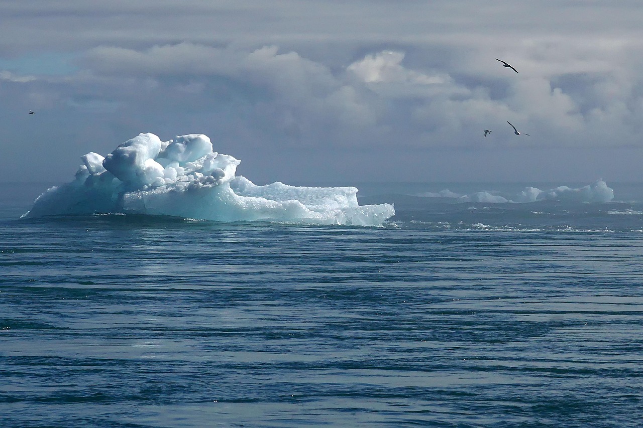 découvrez comment relever le défi climatique : enjeux, solutions et actions concrètes pour lutter contre le changement climatique et protéger notre planète.
