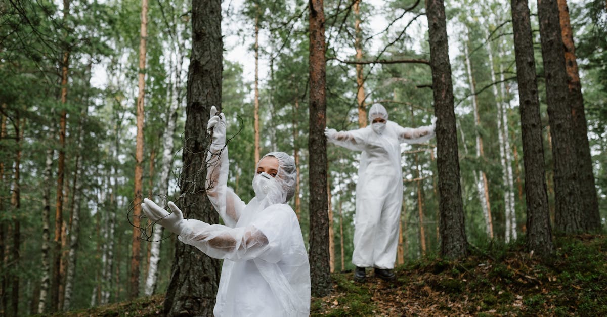 découvrez comment la reforestation contribue à la lutte contre le changement climatique, la préservation de la biodiversité et la restauration des écosystèmes naturels. informez-vous sur les initiatives, les bienfaits et comment participer.