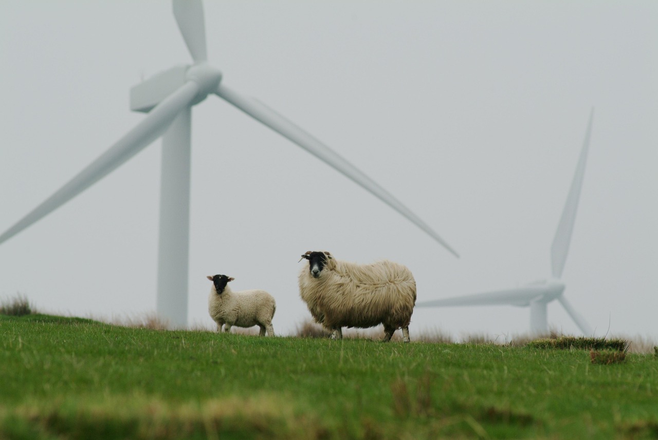 découvrez ce qu'est la sustainability (durabilité), pourquoi elle est essentielle pour l'environnement, l'économie et la société, ainsi que des conseils pratiques pour adopter un mode de vie durable.