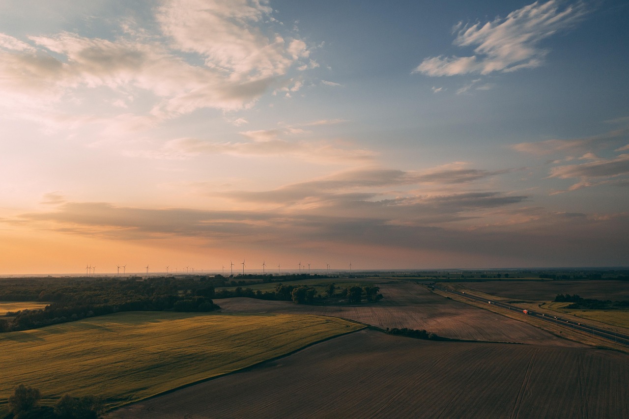 découvrez comment intégrer la durabilité dans votre quotidien grâce à des conseils pratiques, des initiatives innovantes et des solutions pour un avenir plus respectueux de l'environnement.