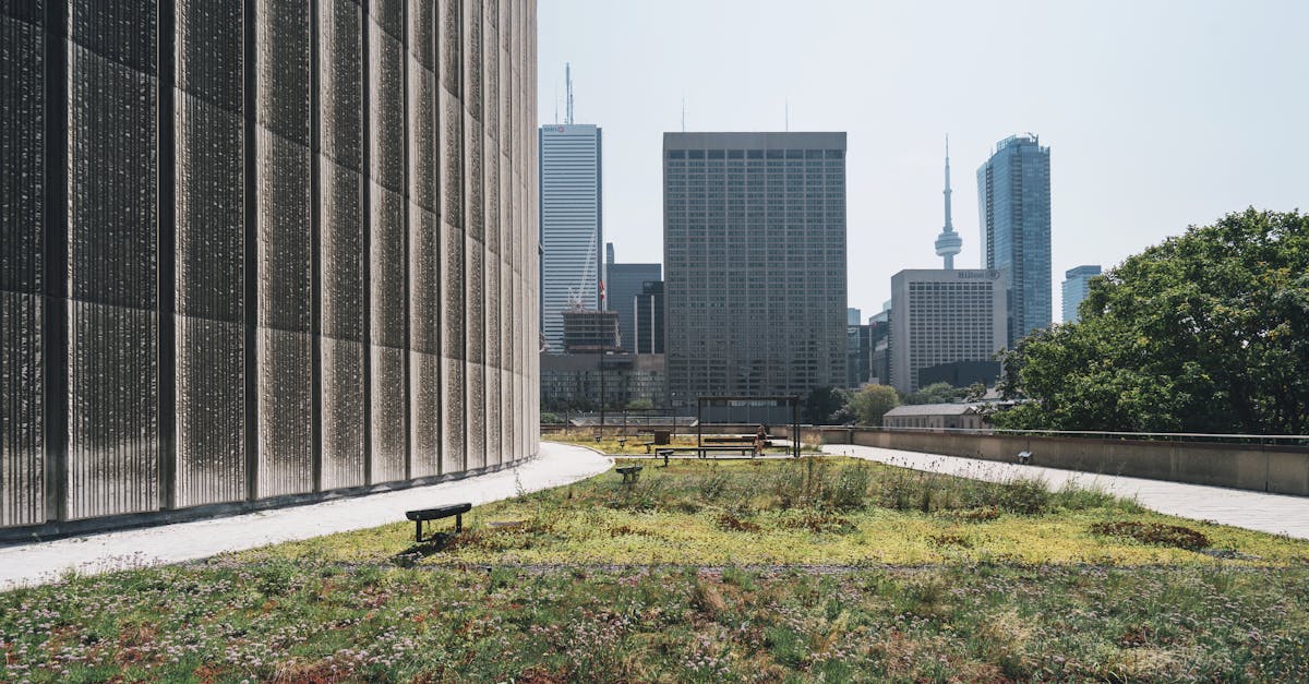 découvrez tout sur la sustainability : définitions, enjeux, bonnes pratiques et solutions pour adopter un mode de vie et un développement plus respectueux de l’environnement.