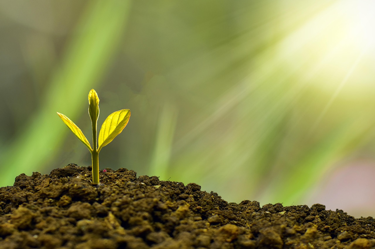 découvrez l'essentiel du sustainability reporting : enjeux, méthodes et bonnes pratiques pour améliorer la transparence environnementale et sociale de votre entreprise. guide complet pour comprendre et mettre en œuvre un reporting durable efficace.