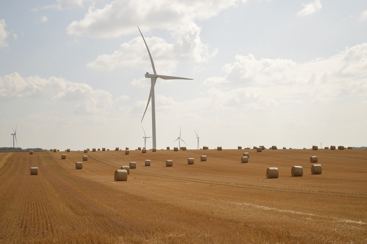 découvrez comment l’intelligence artificielle durable révolutionne les pratiques technologiques en conciliant innovation, efficacité et respect de l’environnement. adoptez une ia responsable pour un futur plus vert.