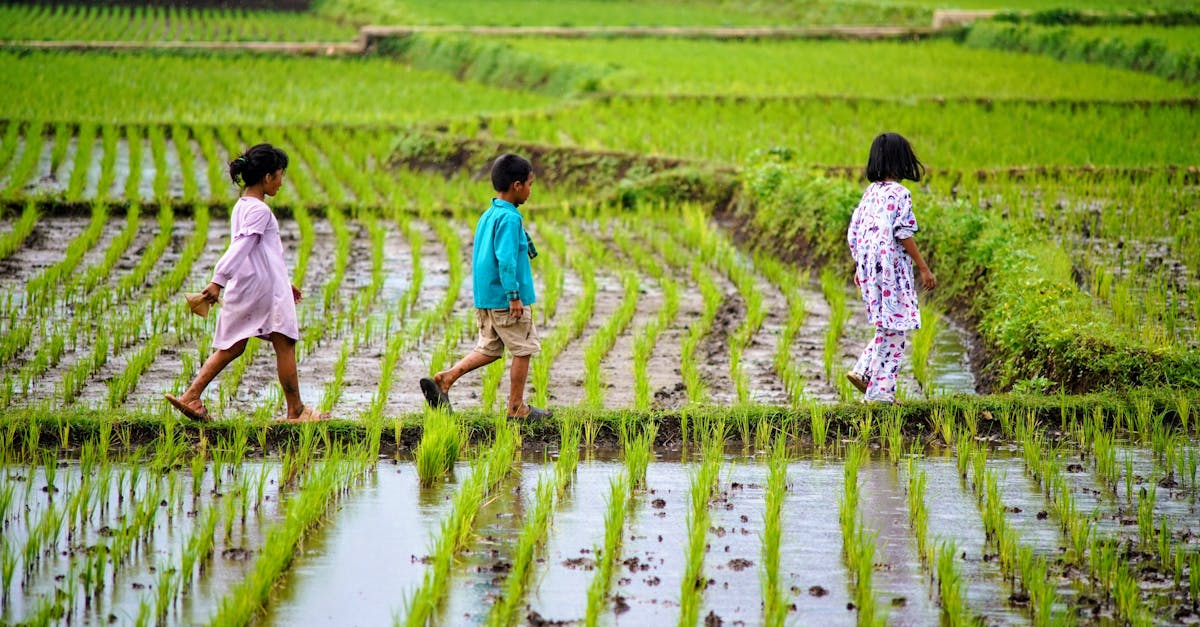 découvrez comment adopter une culture durable au sein de votre organisation pour favoriser le respect de l'environnement, l'innovation et la responsabilité sociale. explorez des solutions et bonnes pratiques pour un futur plus vert.