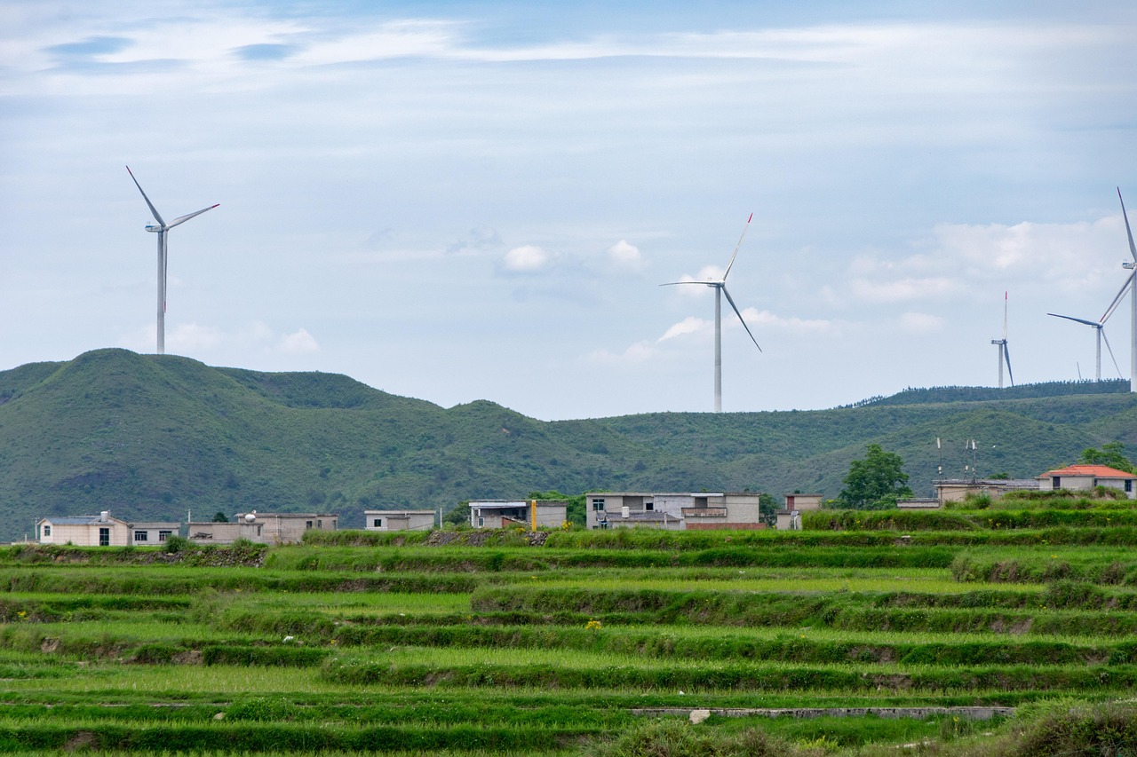 découvrez les principes du développement durable : un modèle équilibré qui vise à répondre aux besoins présents sans compromettre les générations futures, tout en protégeant l'environnement et en favorisant le progrès social et économique.