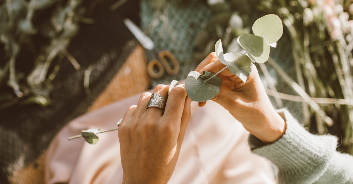 découvrez comment le landscaping durable contribue à préserver l’environnement tout en créant des espaces extérieurs beaux et fonctionnels. explorez des conseils écologiques et des solutions pour un aménagement paysager responsable.