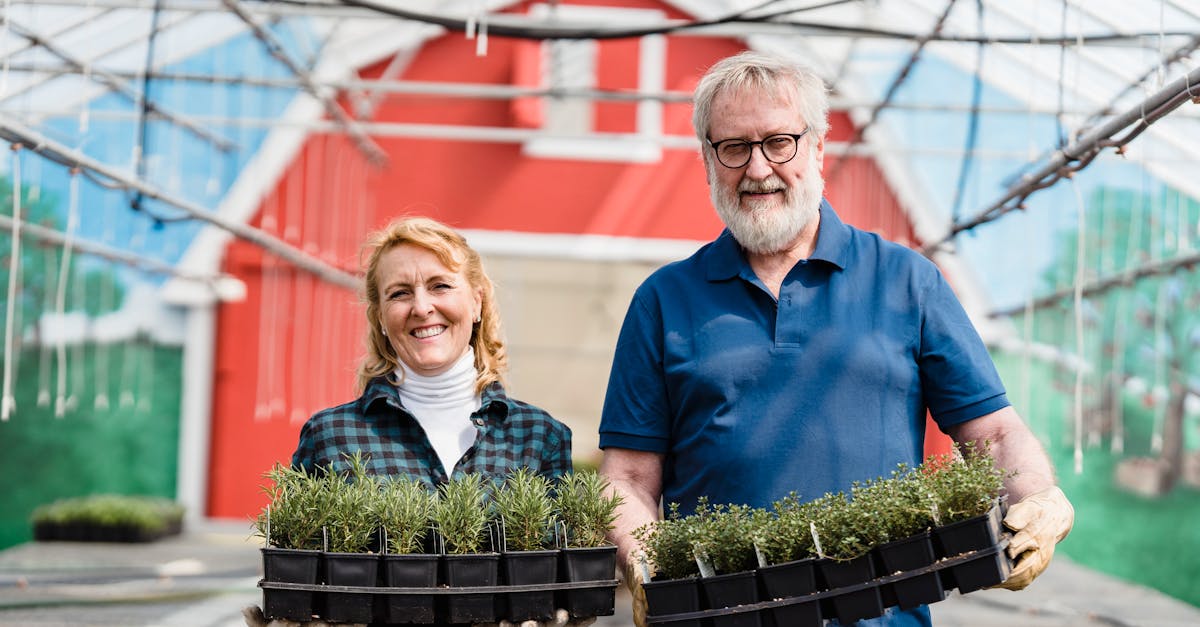 découvrez comment adopter un aménagement paysager durable pour préserver l'environnement, économiser l'eau et créer des espaces verts écoresponsables, tout en valorisant votre jardin.