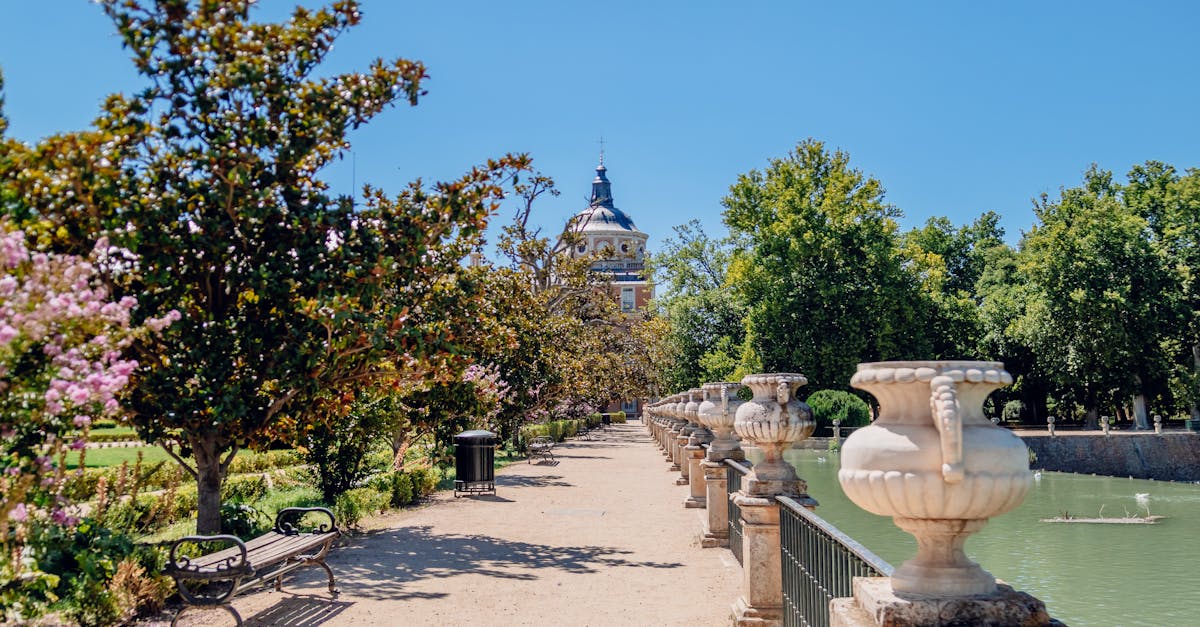 découvrez comment les forêts urbaines améliorent la qualité de vie en ville, favorisent la biodiversité et atténuent les effets du changement climatique dans les environnements urbains.