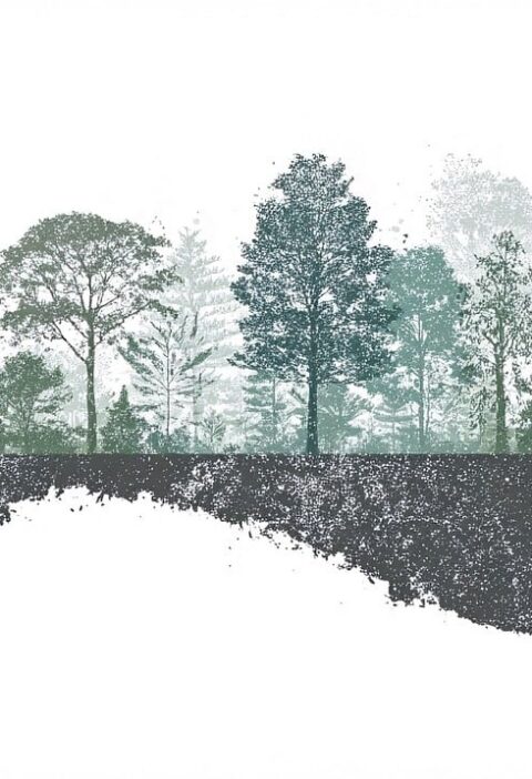 découvrez ce qu'est l'empreinte écologique, comment elle mesure l'impact de nos modes de vie sur la planète, et explorez des solutions pour réduire votre propre empreinte et préserver l'environnement.