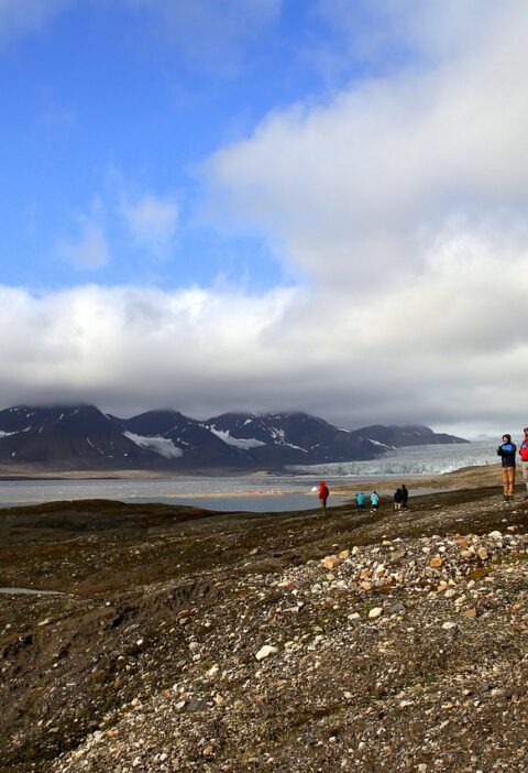 découvrez ce qu'est le permafrost, ses caractéristiques, son importance écologique et comment le réchauffement climatique influence la fonte de ce sol gelé en permanence.