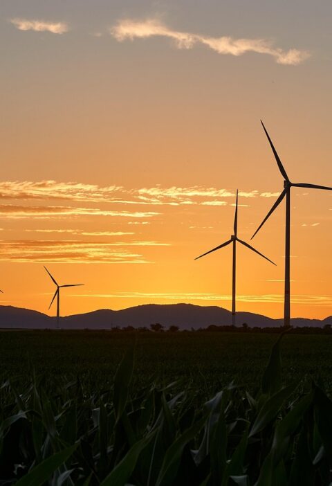 découvrez comment la transformation durable permet aux organisations d’allier performance économique, respect de l’environnement et responsabilité sociale pour un avenir meilleur.