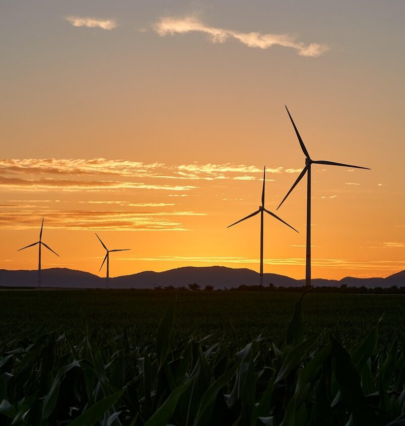 découvrez comment la transformation durable permet aux organisations d’allier performance économique, respect de l’environnement et responsabilité sociale pour un avenir meilleur.