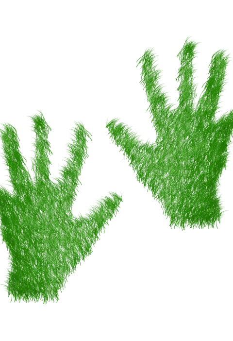 découvrez ce qu'est l'empreinte écologique, son impact sur la planète et des conseils pratiques pour réduire votre consommation de ressources naturelles au quotidien.