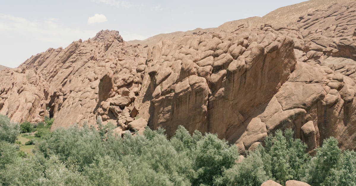 découvrez climate alliance, une organisation engagée pour la protection du climat réunissant collectivités et partenaires afin de promouvoir des solutions durables et lutter efficacement contre le changement climatique.