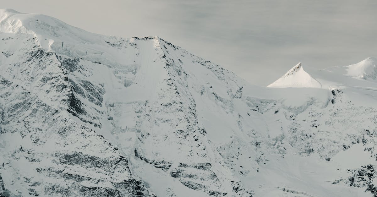 découvrez climate alliance, un réseau engagé dans la lutte contre le changement climatique, favorisant la coopération entre collectivités et partenaires pour un avenir durable en europe et dans le monde.