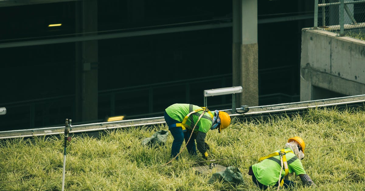découvrez comment l'infrastructure verte contribue à la durabilité urbaine en favorisant la biodiversité, la gestion des eaux pluviales et la qualité de vie dans les villes. solutions, avantages et exemples d’initiatives innovantes.