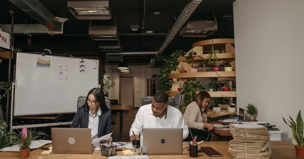 découvrez les principes et bonnes pratiques du management durable pour favoriser la croissance responsable, préserver l’environnement et assurer le bien-être des collaborateurs au sein de votre organisation.