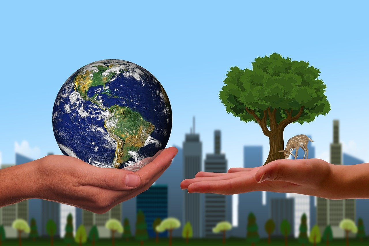 découvrez l'écologie urbaine : une discipline qui étudie les interactions entre les organismes vivants et leur environnement dans les villes, afin de favoriser des espaces urbains plus durables et harmonieux.
