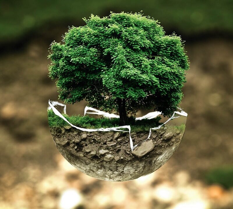 découvrez comment vos choix alimentaires influencent l'environnement et apprenez à adopter des habitudes plus durables pour réduire votre empreinte écologique.