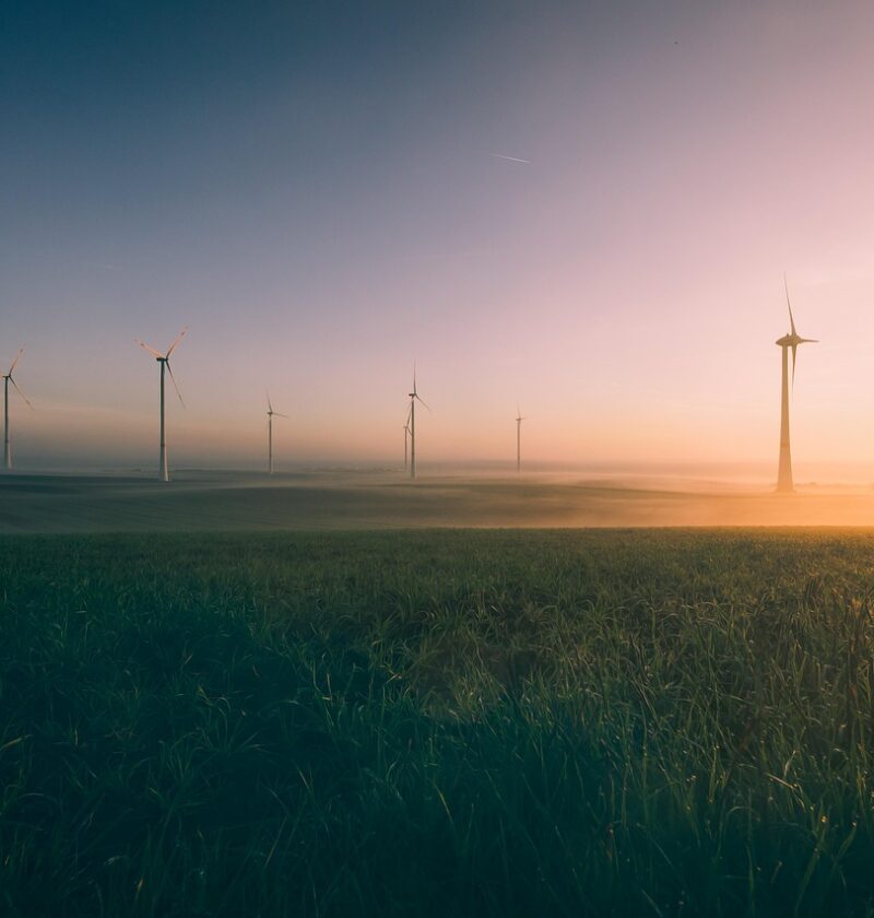 découvrez des informations essentielles sur l'environnement, les enjeux écologiques et les actions pour un développement durable.