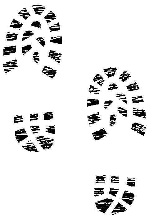 découvrez l'importance de la transparence en matière d'empreinte carbone pour un engagement environnemental responsable et des actions durables.