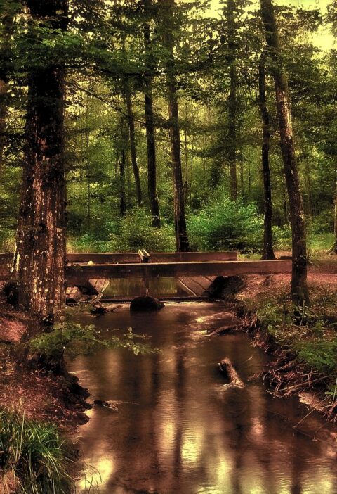 découvrez notre planète terre, un joyau unique riche en biodiversité et en paysages époustouflants, essentiel à la vie et à la préservation de notre avenir.