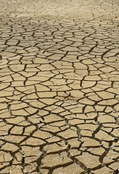 découvrez les causes, les impacts et les solutions face au changement climatique pour protéger notre planète et assurer un avenir durable.