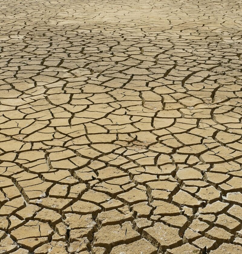 découvrez les causes, les impacts et les solutions face au changement climatique pour protéger notre planète et assurer un avenir durable.